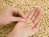 Ceny pevných paliv pro domácnosti © Sophia Winters - Fotolia.com